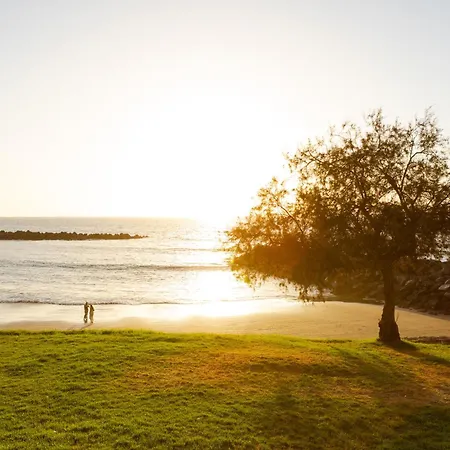 Ponderosa With A Pool & View, 226 *
